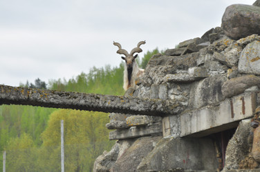 Similar image 22174170