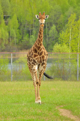 Similar image 22174171