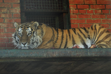 Similar image 22174172