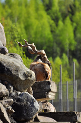 Similar image 22174173