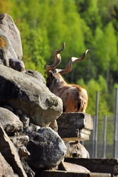 Similar image 22174174