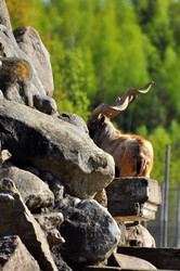 Similar image 22174176