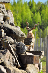 Similar image 22174178