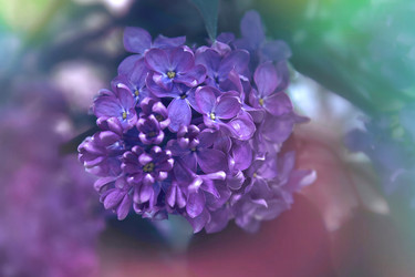 Similar image 22174736