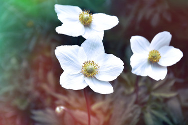 Similar image 22174737