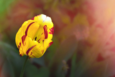 Similar image 22174738