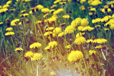 Similar image 22174739