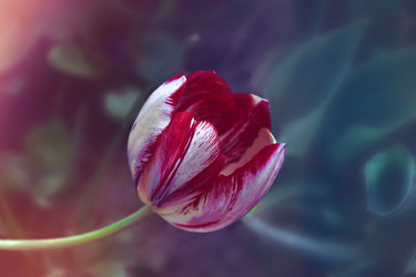 Similar image 22174740