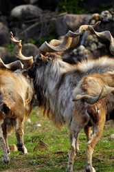 Similar image 22174179