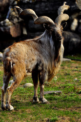 Similar image 22174180