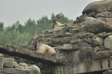 Similar image 22174181