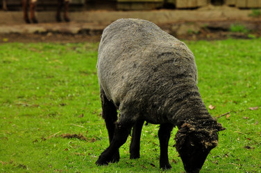 Similar image 22174182