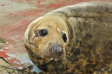 Similar image 22174183