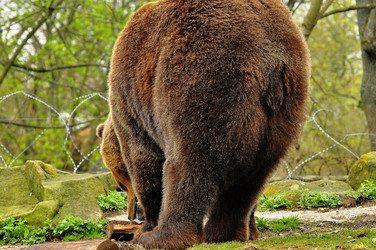 Similar image 22174186