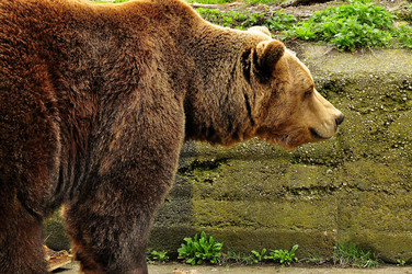 Similar image 22174187