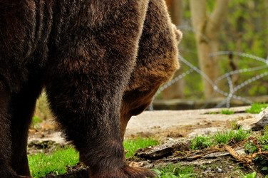 Similar image 22174188