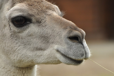 Similar image 22174190