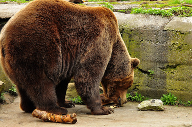 Similar image 22174191