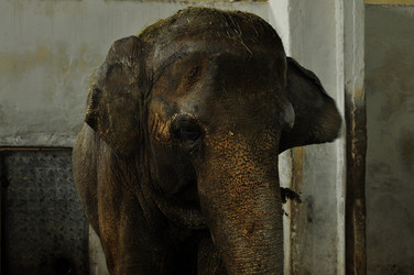 Similar image 22174192