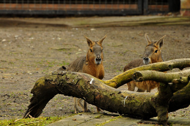 Similar image 22174193