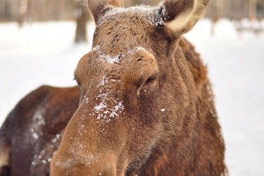 Similar image 22174194