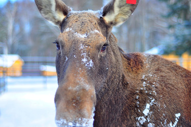 Similar image 22174195