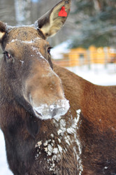 Similar image 22174196