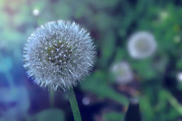 Similar image 22174742