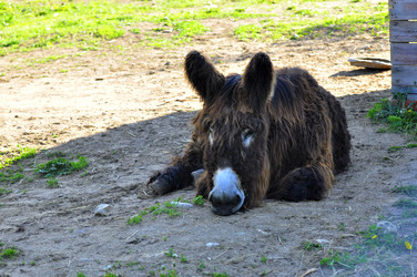 Similar image 22174197