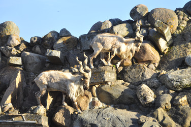 Similar image 22174198