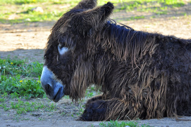 Similar image 22174200