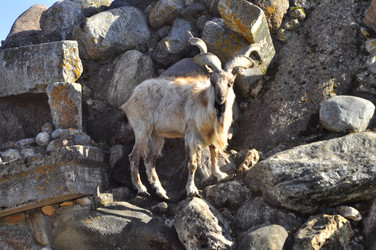 Similar image 22174201