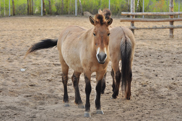 Similar image 22174203