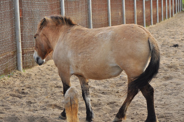 Similar image 22174204