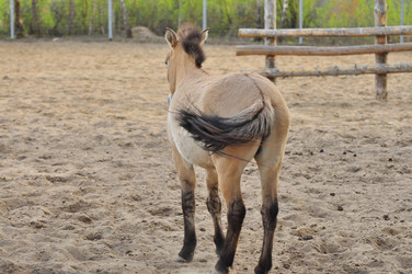 Similar image 22174205