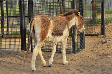 Similar image 22174207