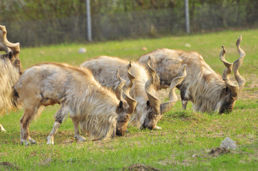 Similar image 22174208