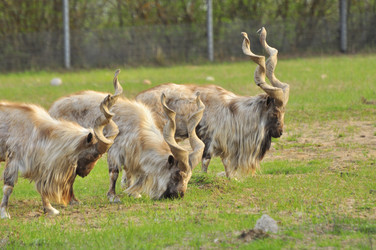 Similar image 22174209