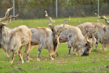 Similar image 22174210