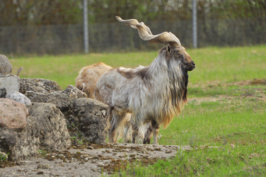 Similar image 22174211