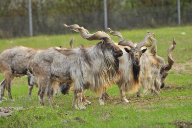 Similar image 22174212