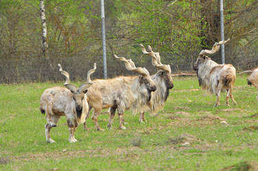 Similar image 22174213