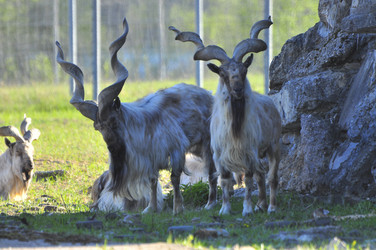 Similar image 22174214