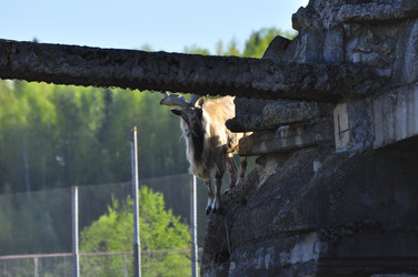 Similar image 22174215