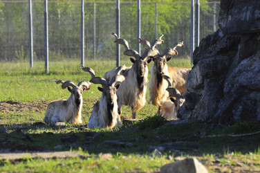 Similar image 22174216