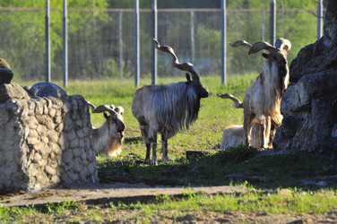 Similar image 22174217