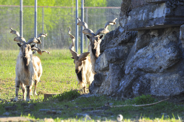 Similar image 22174071