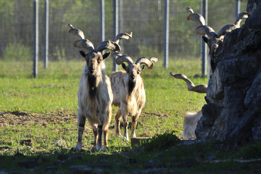 Similar image 22174218