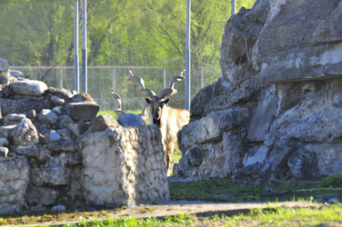 Similar image 22174219