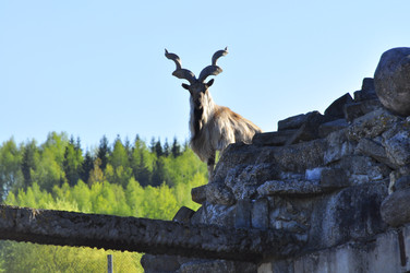 Similar image 22174220